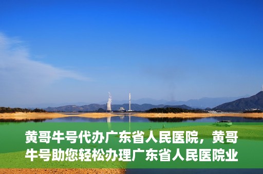 黄哥牛号代办广东省人民医院，黄哥牛号助您轻松办理广东省人民医院业务手续