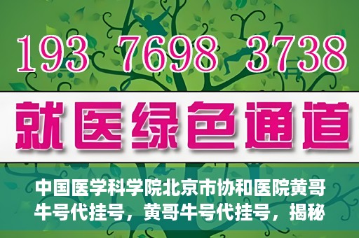 中国医学科学院北京市协和医院黄哥牛号代挂号，黄哥牛号代挂号，揭秘中国医学科学院北京市协和医院挂号背后的故事