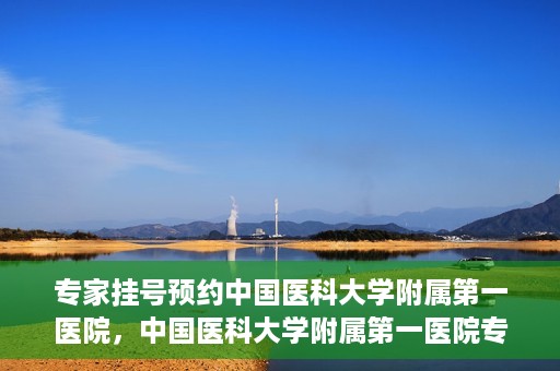 专家挂号预约中国医科大学附属第一医院，中国医科大学附属第一医院专家挂号预约解析