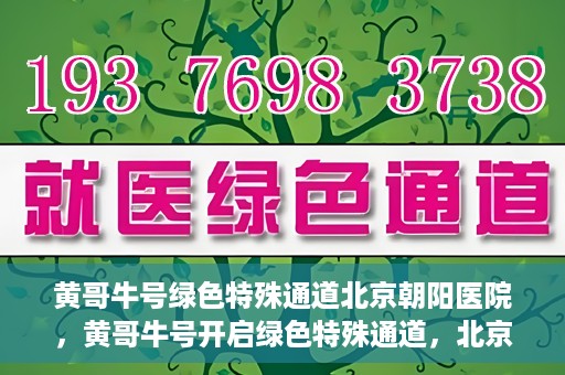 黄哥牛号绿色特殊通道北京朝阳医院，黄哥牛号开启绿色特殊通道，北京朝阳医院助力健康之路