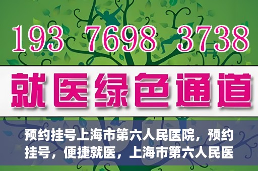 预约挂号上海市第六人民医院，预约挂号，便捷就医，上海市第六人民医院挂号指南