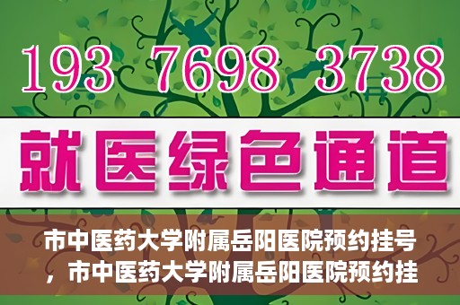 市中医药大学附属岳阳医院预约挂号，市中医药大学附属岳阳医院预约挂号攻略，便捷就医从这里开始