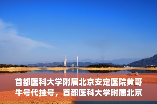 首都医科大学附属北京安定医院黄哥牛号代挂号，首都医科大学附属北京安定医院黄哥牛号助您轻松预约挂号！