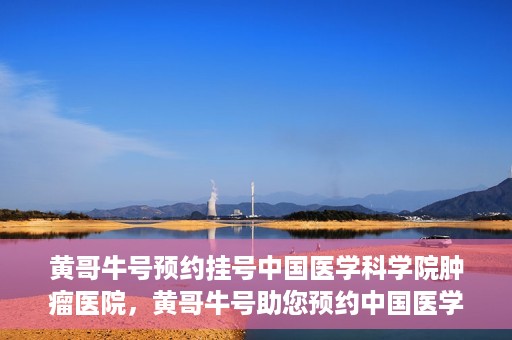 黄哥牛号预约挂号中国医学科学院肿瘤医院，黄哥牛号助您预约中国医学科学院肿瘤医院挂号服务