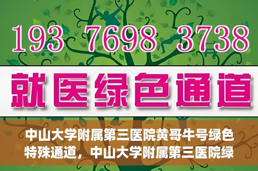 中山大学附属第三医院黄哥牛号绿色特殊通道，中山大学附属第三医院绿色特殊通道，黄哥牛号引领医疗创新之路