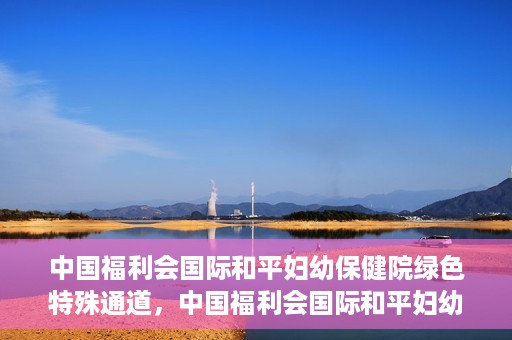 中国福利会国际和平妇幼保健院绿色特殊通道，中国福利会国际和平妇幼保健院，绿色特殊通道助力母婴健康守护