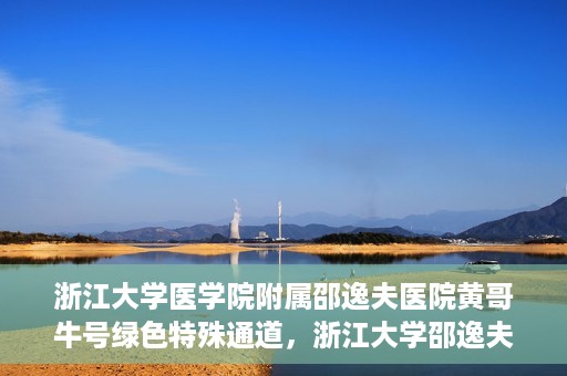 浙江大学医学院附属邵逸夫医院黄哥牛号绿色特殊通道，浙江大学邵逸夫医院绿色特殊通道，黄哥牛号引领医疗新风尚