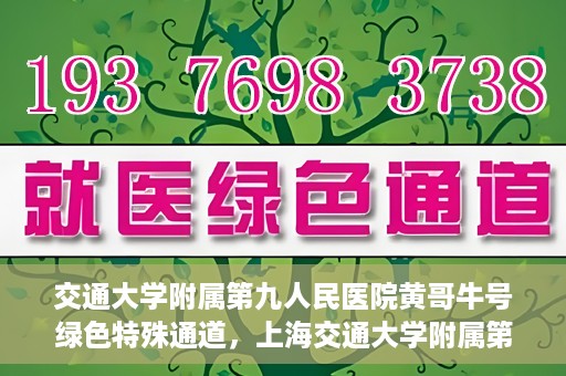交通大学附属第九人民医院黄哥牛号绿色特殊通道，上海交通大学附属第九人民医院黄哥牛号，绿色特殊通道开启健康之门