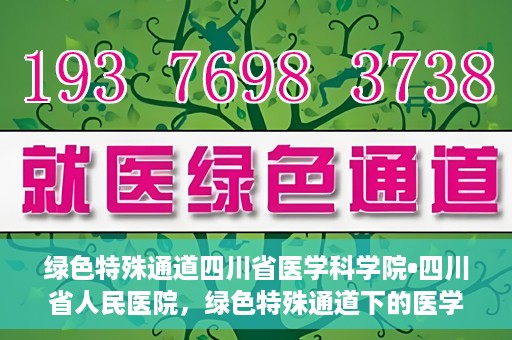 绿色特殊通道四川省医学科学院•四川省人民医院，绿色特殊通道下的医学探索，四川省医学科学院·四川省人民医院研究前沿