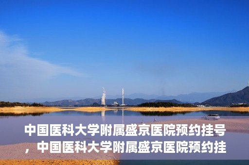 中国医科大学附属盛京医院预约挂号，中国医科大学附属盛京医院预约挂号指南，一站式解决您的挂号难题