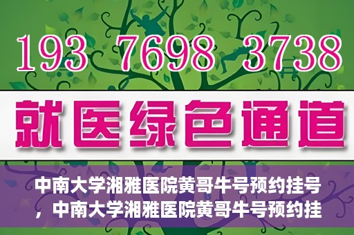 中南大学湘雅医院黄哥牛号预约挂号，中南大学湘雅医院黄哥牛号预约挂号攻略，轻松挂号，无忧就医体验
