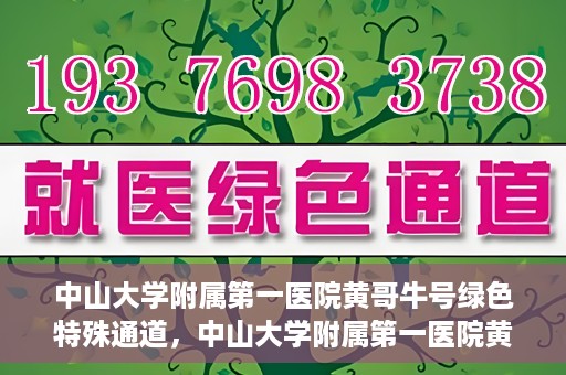中山大学附属第一医院黄哥牛号绿色特殊通道，中山大学附属第一医院黄哥牛号，绿色特殊通道开启健康之门