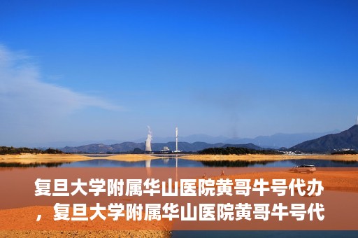 复旦大学附属华山医院黄哥牛号代办，复旦大学附属华山医院黄哥牛号代办，就医无忧，专业代办服务助您轻松就医体验