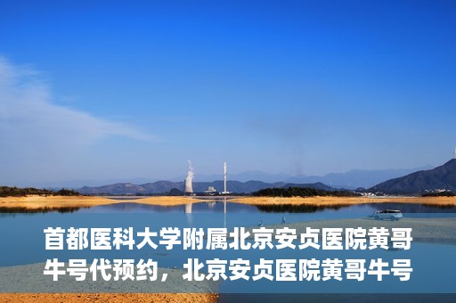 首都医科大学附属北京安贞医院黄哥牛号代预约，北京安贞医院黄哥牛号预约服务解析