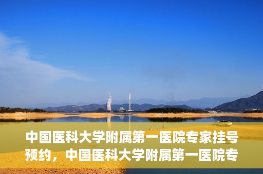 中国医科大学附属第一医院专家挂号预约，中国医科大学附属第一医院专家挂号预约攻略，一站式解决您的就医难题