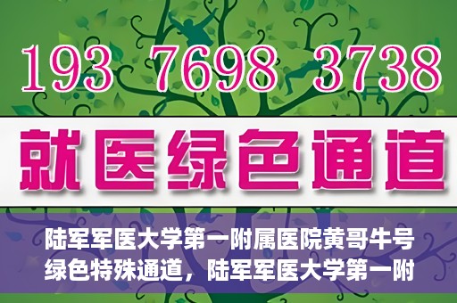 陆军军医大学第一附属医院黄哥牛号绿色特殊通道，陆军军医大学第一附属医院黄哥牛号，绿色特殊通道开启健康之门