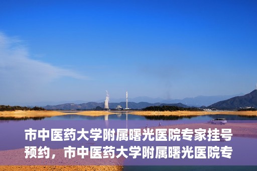 市中医药大学附属曙光医院专家挂号预约，市中医药大学附属曙光医院专家挂号预约攻略，一站式预约服务体验