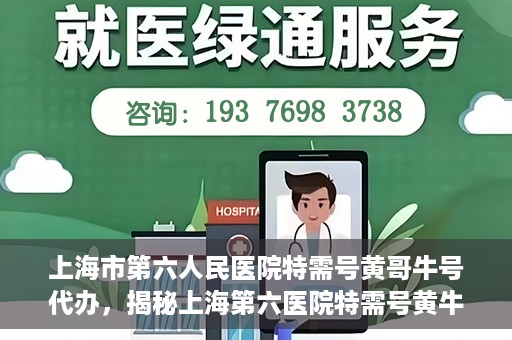 上海市第六人民医院特需号黄哥牛号代办，揭秘上海第六医院特需号黄牛现象，黄哥牛号代办背后的故事