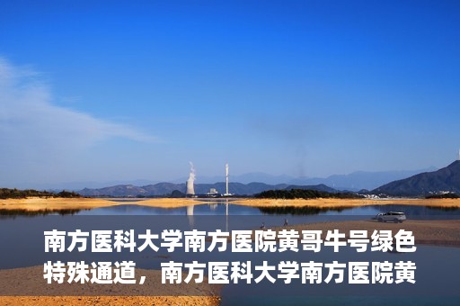南方医科大学南方医院黄哥牛号绿色特殊通道，南方医科大学南方医院黄哥牛号，绿色特殊通道开启健康之门