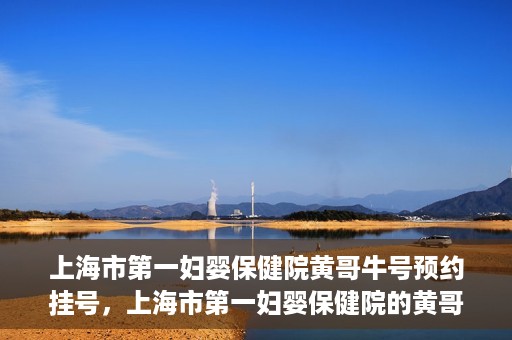 上海市第一妇婴保健院黄哥牛号预约挂号，上海市第一妇婴保健院的黄哥牛号预约挂号指南