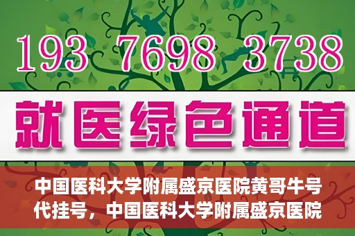 中国医科大学附属盛京医院黄哥牛号代挂号，中国医科大学附属盛京医院黄哥牛号代挂号背后的故事与真相揭秘