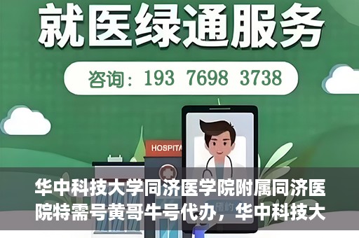 华中科技大学同济医学院附属同济医院特需号黄哥牛号代办，华中科技大学同济医院特需号专家黄哥牛号预约代办服务解析