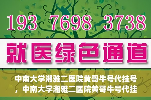 中南大学湘雅二医院黄哥牛号代挂号，中南大学湘雅二医院黄哥牛号代挂号，便捷就医背后的故事